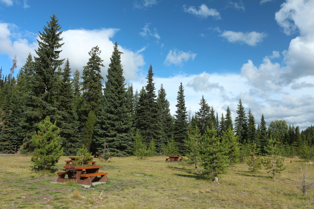 Wandergebiet am Lighning Lake