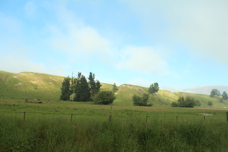 Gr&uuml;ne Wiesen... noch!