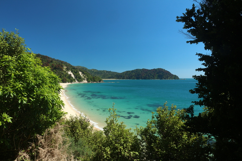 Totaranui geh&ouml;rt zur Golden Bay