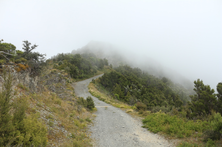 Der Mount Fyffe im Nebel
